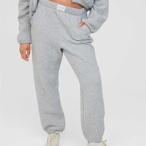 NWOT Offline by Aerie Coffee Run Jogger Grey